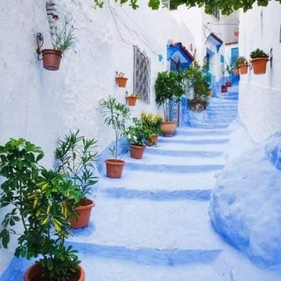 Casa Plasa Grande Chefchaouen Eksteriør billede