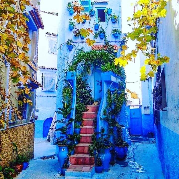 Casa Plasa Grande Chefchaouen Eksteriør billede